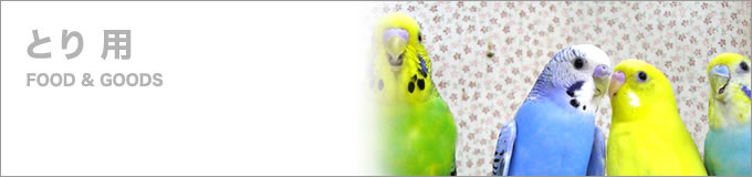 Ƃpt[hObY