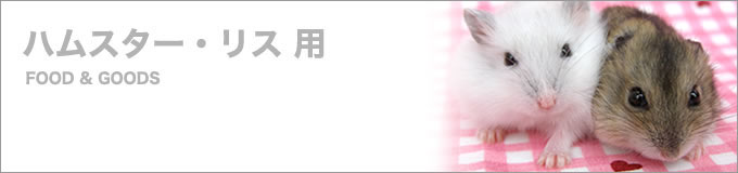 nX^[EXpt[hObY